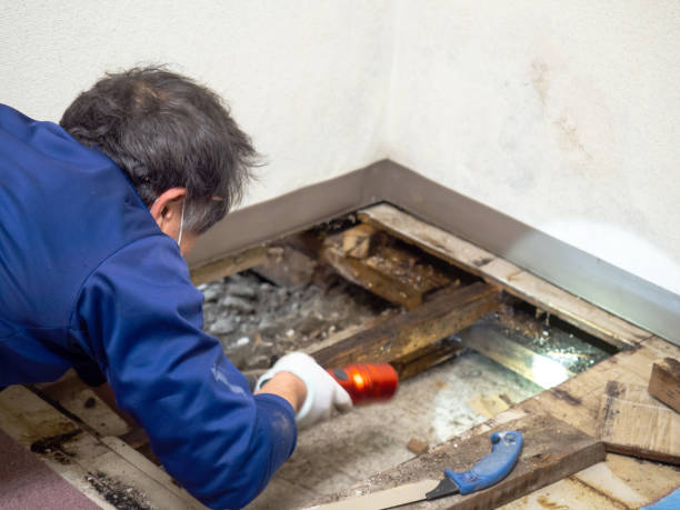 Best Kitchen Mold Remediation in Fort Bragg, CA
