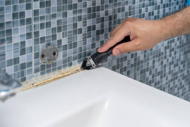 Professional Mold Remediation in Fort Bragg, CA